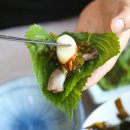 해변짚불곰장어 이미지