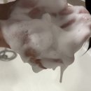 닥터포헤어 샴푸 후기, 거품 풍성하고 향도 편안해요
