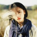 오트란 이미지