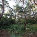 토정마을 이미지