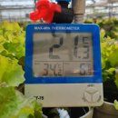 농도원1길 이미지