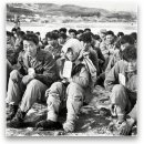 박사리 네이버블로그