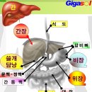 간장이 나쁜 직원이 있다고 데려왔는데 체크해보니~콩팥 이미지