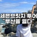 그리다투어&버스 이미지
