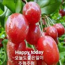 다시오리 이미지