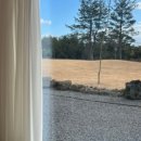 포르투나 스테이 인 표선 이미지