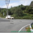 돌다리주유소 이미지