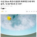 수심 20cm 욕조서 동생과 목욕하던 5세 여아 숨져…"父 밥 먹으러 간 사이" 이미지