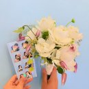 본부케 | 부케 말리는 방법이 궁금하다면? 직접 해본 부케 말리기 후기🌸