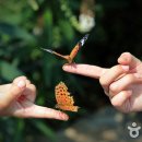 예쁜손고운발만들기 이미지