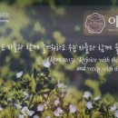 세종금남 파리바게트 이미지