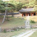 침산정 | 침산정 방문 후기: 힐링과 평화로운 시간을 경험하다