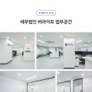 [세무법인 비라이트] 수습세무사님을 모십니다. (강남)(끌올) 이미지