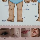 잼잼문방구단계초점 | 아기 병풍 추천｜엄마랑 벽그림 병풍 시기와 세이펜 활용, 2개월 아기 반응 후기