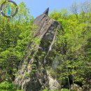 소백산 태봉(윤암봉),석름봉,자개봉,국망봉 ,광풍대 제월대,신점촌,철암,명경암.초암사. 철쭉꽃개화 이미지