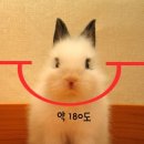 동물들의세상 이미지