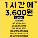 놀숲플러스