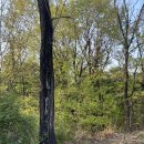 복댕이네 분식 이미지