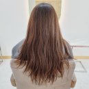 지니살롱 티스토리