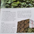 팜엔마켓