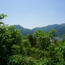 복탄횟집 이미지