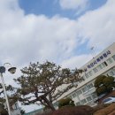 익산시북부청사 이미지