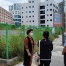 세류초 이미지