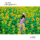 신봉 티스토리