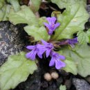 금창초교 이미지