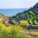 남파랑길 이미지