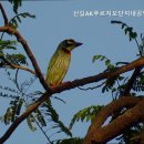 AK부동산공인중개사사무소 이미지