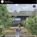 팡시온 이미지