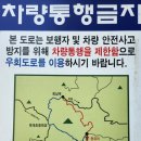 회남재 숲길 이미지