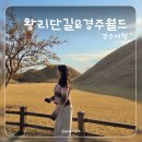 갈지6-29 농로 | 경주 여행, 3월 국내여행, 경주 1박2일 가볼만한 곳, 경주여행 코스 추천, 경주월드 후기