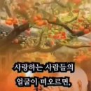 샬롬 - 은평구 | 샬롬