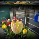 금천구청 이미지