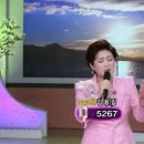 민들레디자인