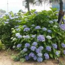 한결우리요양병원 이미지