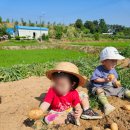 삼희어린이집 이미지