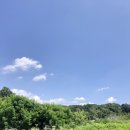 빨콩 야당점