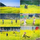 능포수변공원 네이버블로그