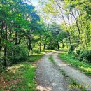 금남면사무소 이미지