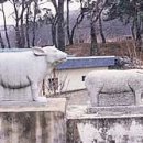 진1리 마을회관 이미지