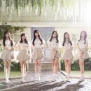더샤샤 스타뉴스