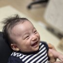 신영교통노동조합 | 진공청소+물걸레 올인원 샤오미 로봇청소기 X10+ 솔직 후기