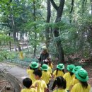 오금숲어린이집 이미지