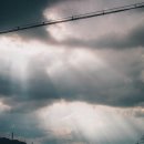 GS25 연천청산점 이미지