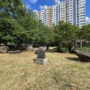 신암근린공원2 이미지