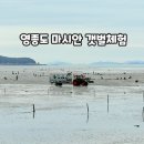그늘막107 | 영종도 마시안 갯벌체험 아이와 강추 체험장 및 준비물 정보