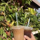 신행농장 이미지